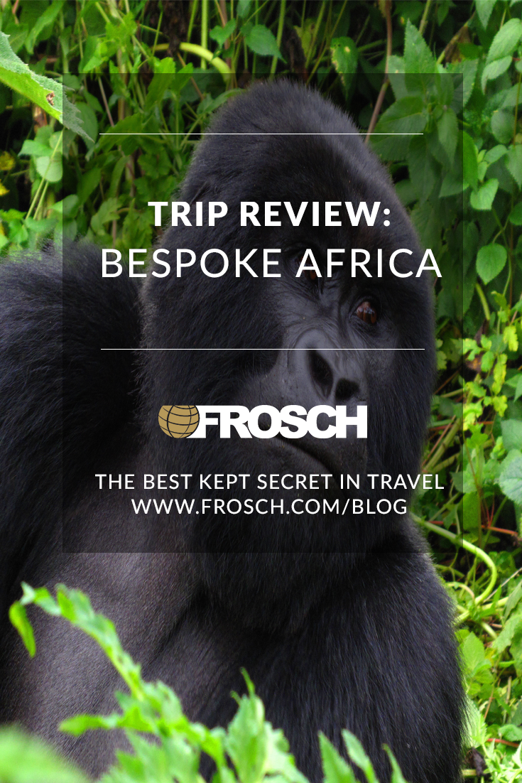 Blog-Footer-Trip-Review-Bespoke-Africa.png