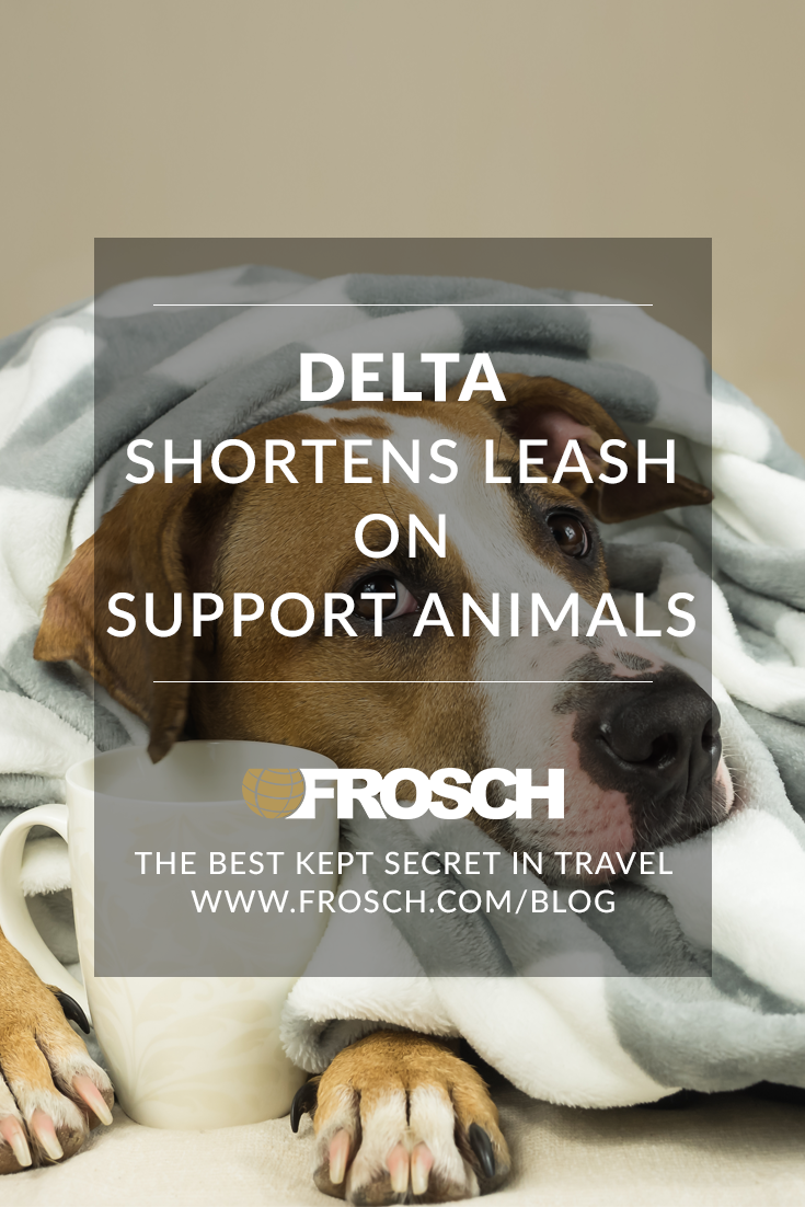 Delta Shortens Leash on Support Animals