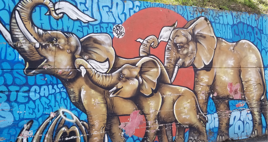 Blog-Thumbnail-Medellin-with-Matt-Jenesen-Elephant-Murals.png
