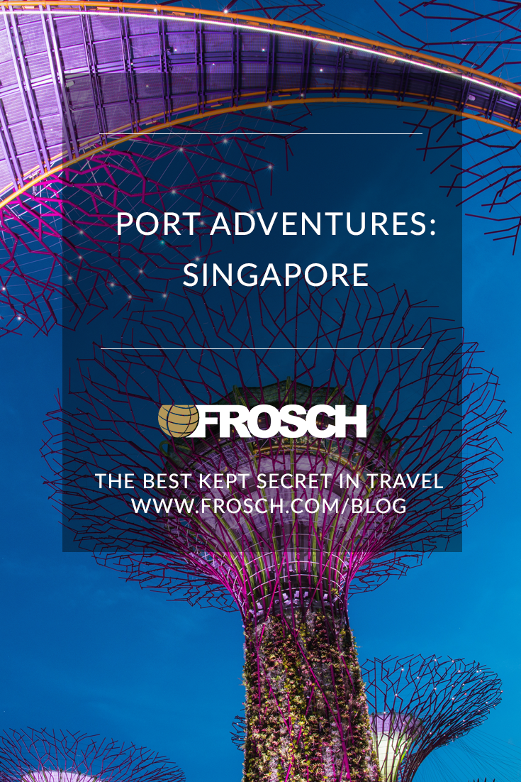 Blog-Footer-Port-Adventures-Singapore.png