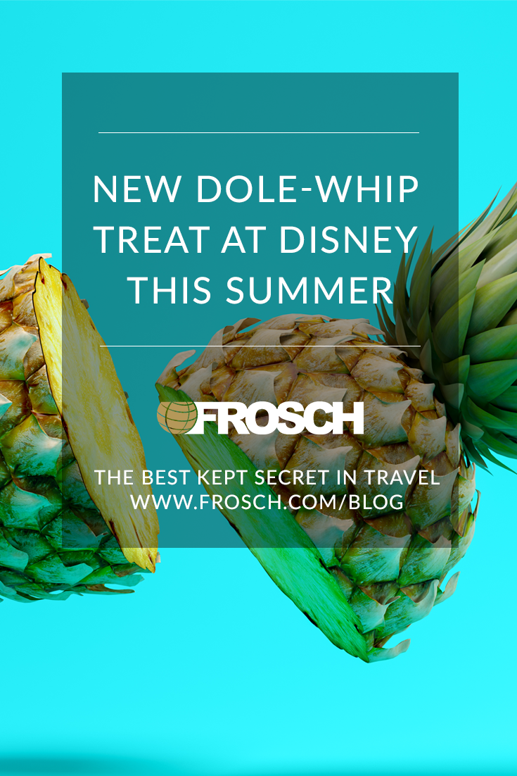 Blog Footer - New Dole-Whip Treat at Disney This Summer