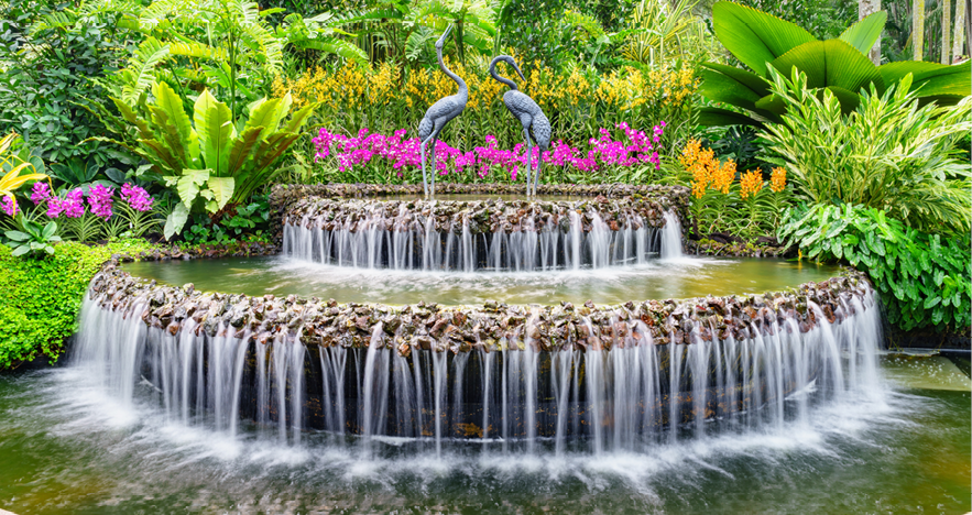 Blog Thumbnail - Singapore Botanical Garden