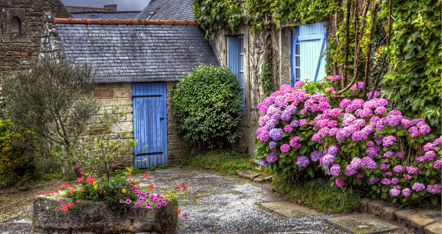 Blog Thumbnail - Trip Review Brittany with Margot Cushing