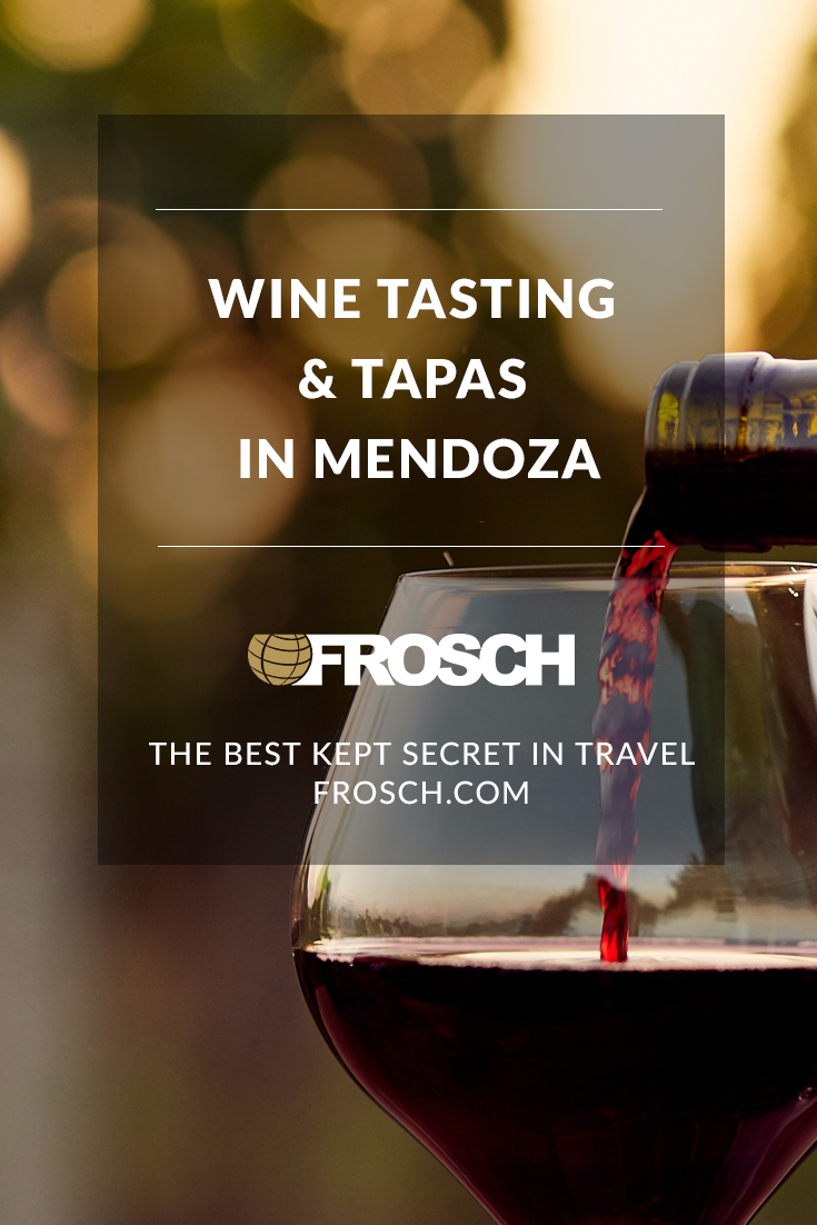 Blog Footer - Wine Tasting and Tapas in Mendoza