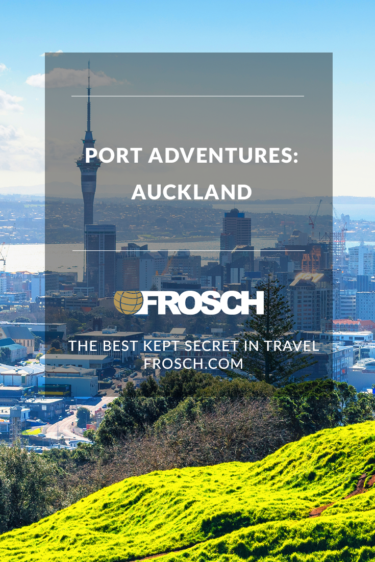 Blog Footer - Port Adventures Auckland