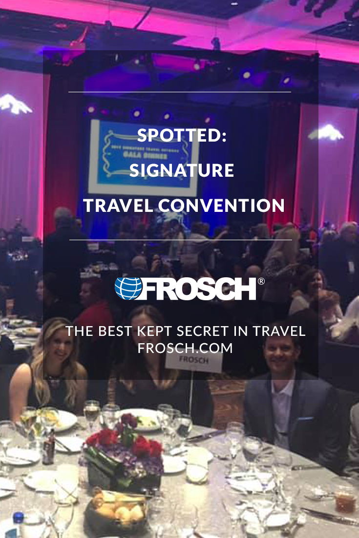 Blog Footer - Spotted Signature Travel Convention