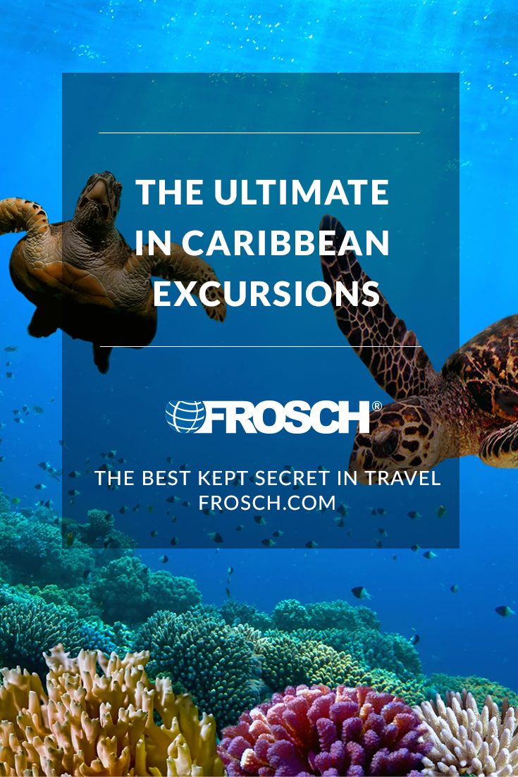 Blog Footer - The Ultimate in Caribbean Excursions