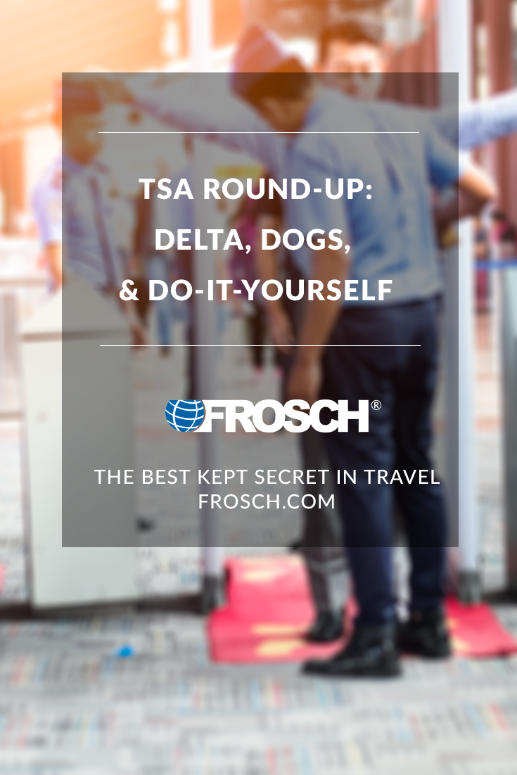 Blog Footer - Trip Review - Delta Dogs and Do It Yourself