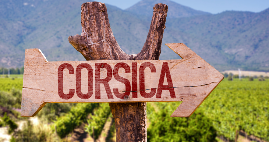 Blog Thumbnail - Corsica Winery