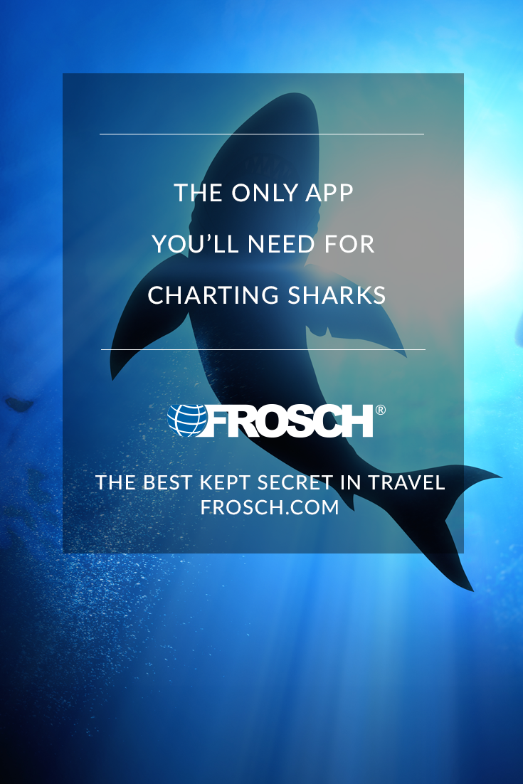 Blog Footer - Shark App