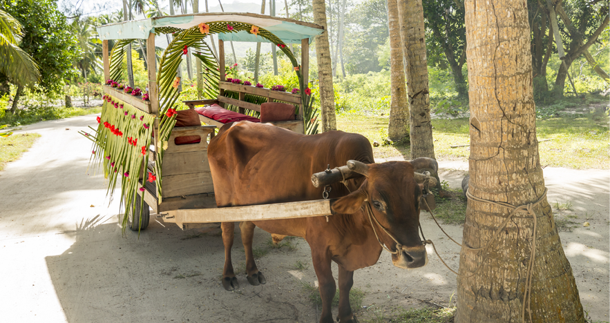 Blog Thumbnail - La Digue Island