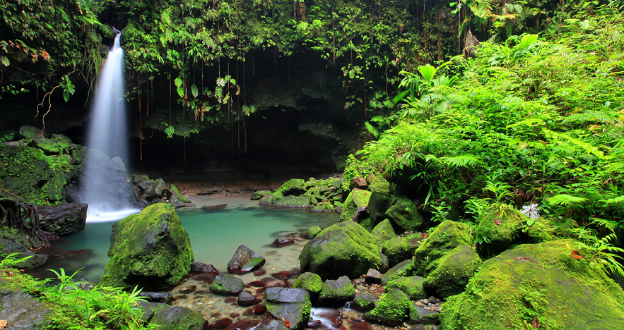 Waterfall in Dominica