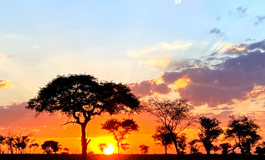 Africa Sunset