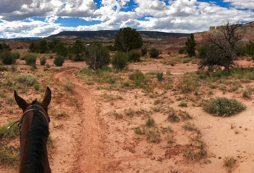 horsebackriding trip ghost ranch