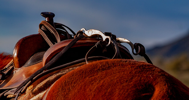 saddle on horse, dude ranch in montana